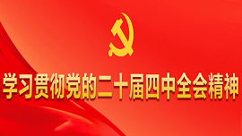 学习贯彻党的二十届四中全会精神